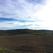 IMG 015